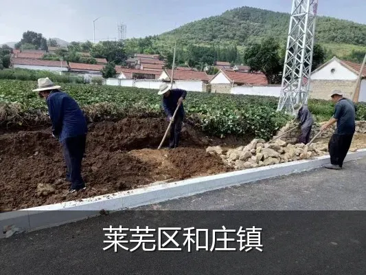 莱芜区和庄镇