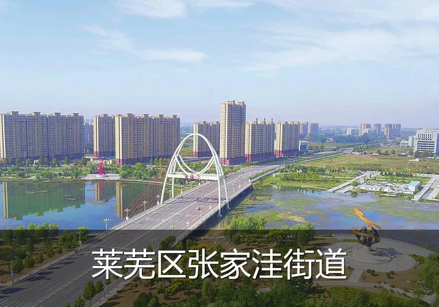 莱芜区张家洼街道