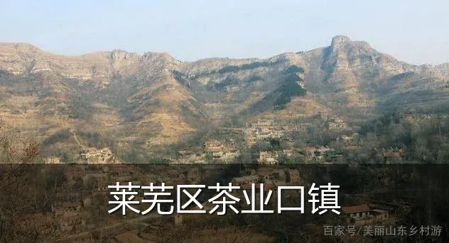 莱芜区茶业口镇